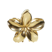 Carregar imagem no visualizador da galeria, Piranha Lilly
